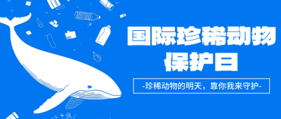国际珍惜动物保护日宣传公众号首图 模板ID：761451