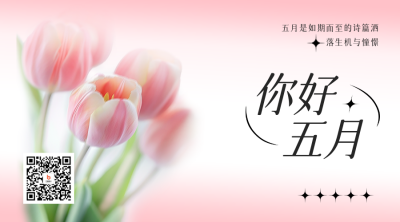 五月你好郁金香祝福二维码 模板ID：761617