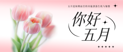 五月你好郁金香祝福公众号首图 模板ID：761613