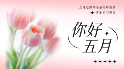 五月你好郁金香祝福公众号图文封面 模板ID：761616