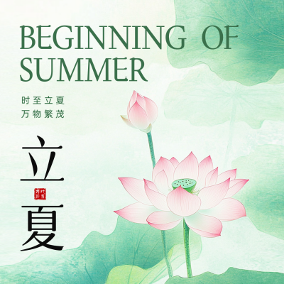 立夏手绘荷花祝福方形海报 模板ID：762090