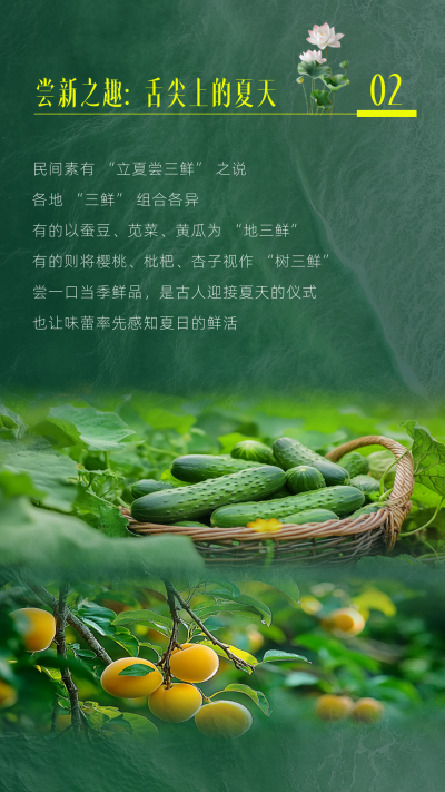 立夏习俗科普竖版配图 模板ID：762728
