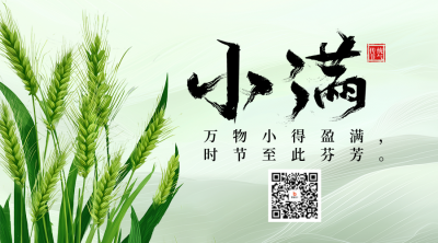 小满节气祝福麦穗宣传二维码 模板ID：763245