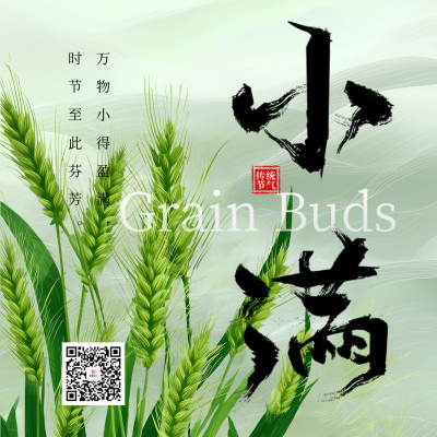 小满节气祝福麦穗宣传方形海报 模板ID：763248