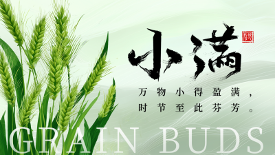 小满节气祝福麦穗宣传公众号图文封面 模板ID：763257