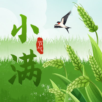 小满节气宣传麦子手绘封面次图 模板ID：763354