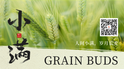 小满实景祝福二维码 模板ID：763642