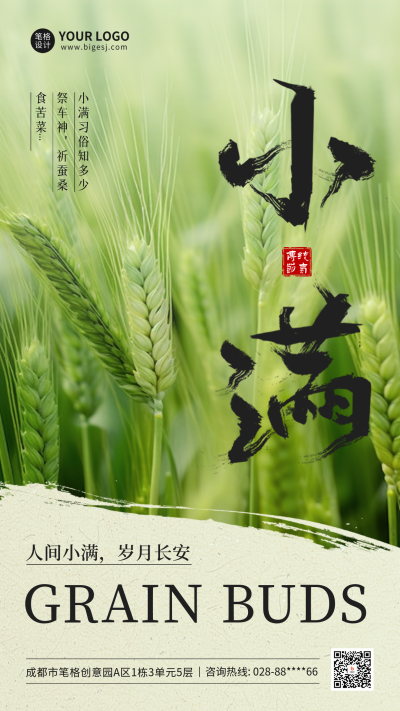小满实景祝福海报 模板ID：763645