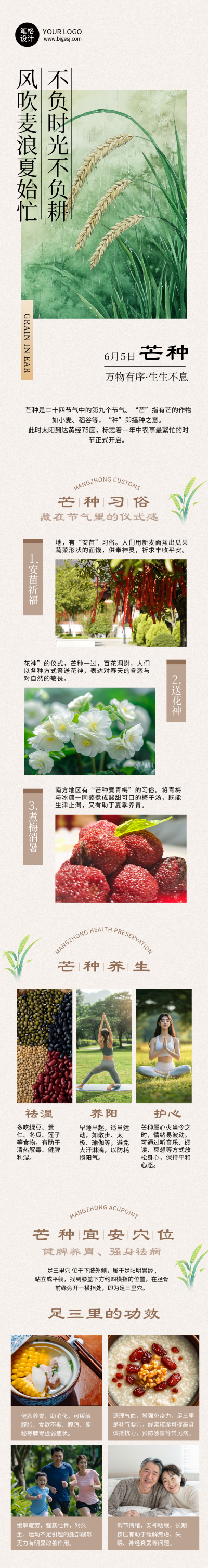 芒种节气习俗科普简约祝福公众号长图 模板ID：764356