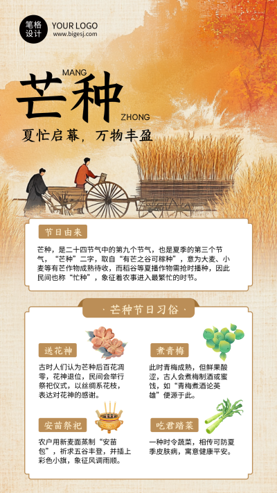 芒种节气习俗科普简约海报 模板ID：764358