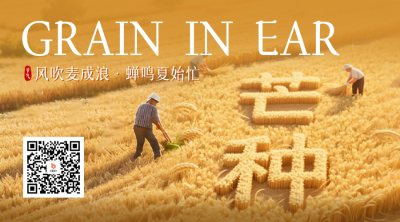 芒种节气创意祝福二维码 模板ID：764374