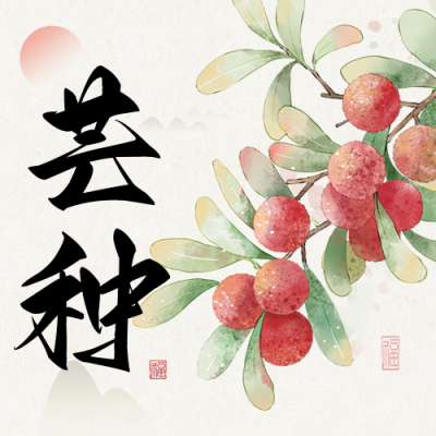 芒种节气祝福手绘风公众号次图 模板ID：764409