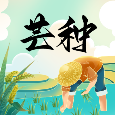 芒种节气插秧手绘宣传封面次图 模板ID：764419