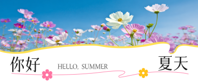 你好夏天实景文艺日签祝福公众号首图 模板ID：764802
