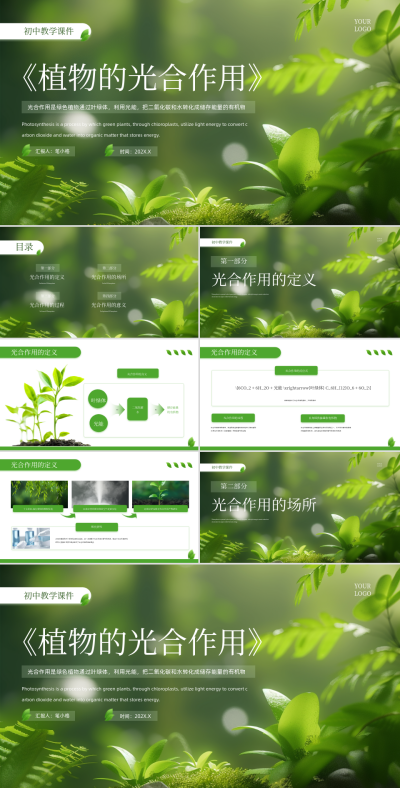 绿色清新风植物的光合作用PPT模板 模板ID：765318