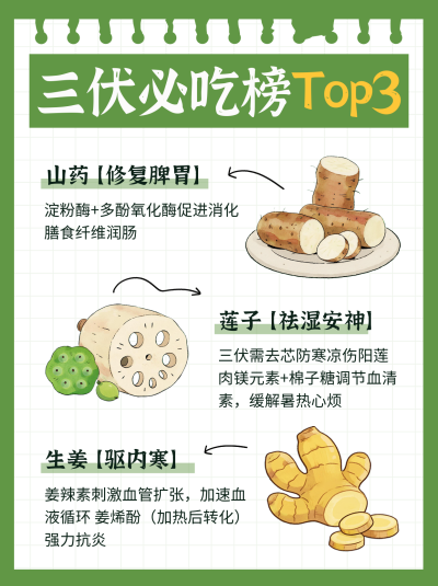 三伏天养生美食指南宣传小红书封面 模板ID:765634