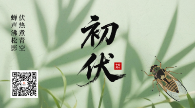 初伏实景绿色二维码 模板ID：765670