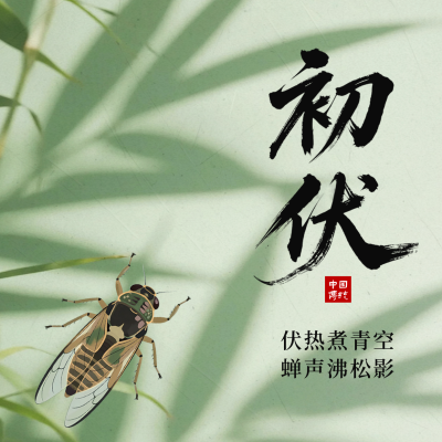 初伏实景绿色方形海报 模板ID：765669