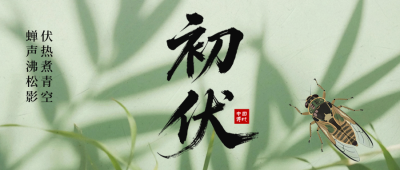 初伏实景绿色公众号首图 模板ID：765671