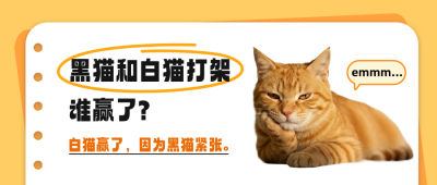 冷笑话分享公众号首图 模板ID：766190