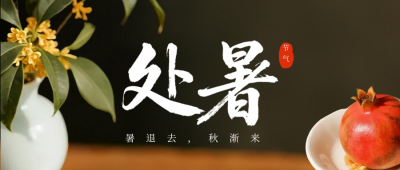 处暑节气实景手机宣传公众号首图 模板ID：767348