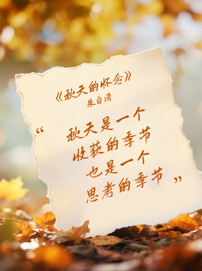 秋天文案分享小红书封面 模板ID：767421