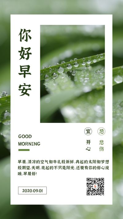 绿色小清新露水早安每日一签手机海报 模板ID:416