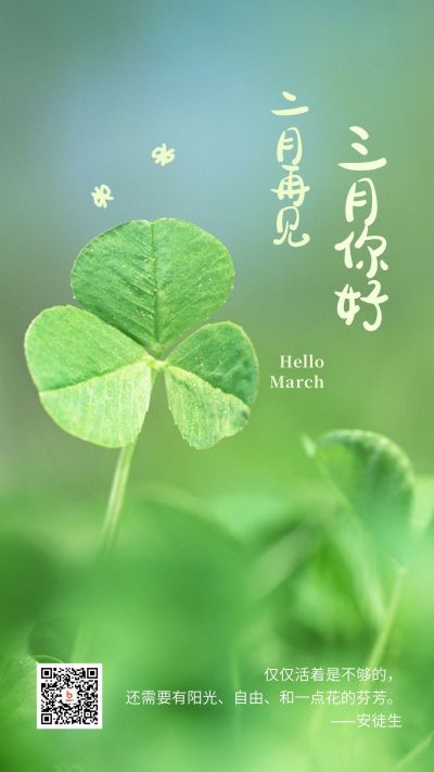 3月你好清新可爱三叶草实景手机海报 模板ID：7184