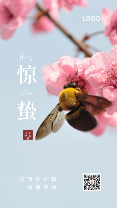 惊蛰节气实景问候祝福手机海报 模板ID：7413