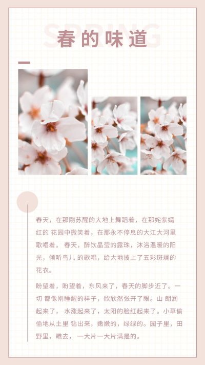 春天文艺清新莫兰迪色竖版配图 模板ID:7121