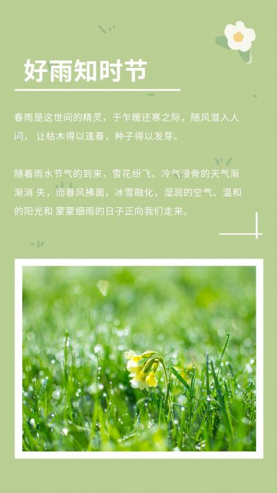 简约手绘春天雨水节气竖版配图 模板ID：7060