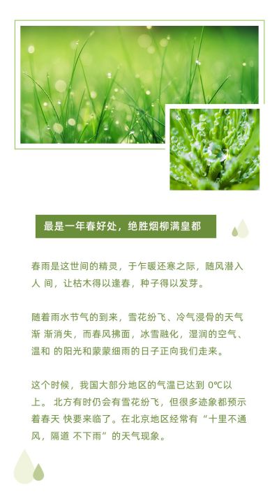 简约清新雨水节气竖版配图 模板ID：7059