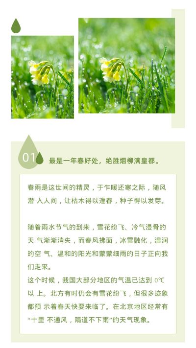 简约雨水二十四节气春天竖版配图 模板ID：7058