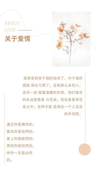 简约文艺通用情人节竖版配图 模板ID：7018
