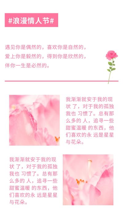 粉色简约浪漫情人节竖版配图 模板ID：7016