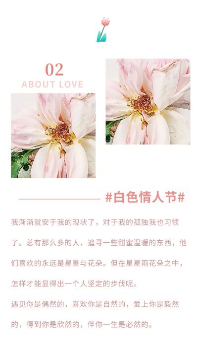 唯美简约清新妇女节女神节情人节通用竖版配图 模板ID:7014