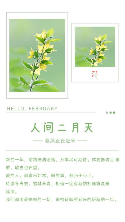 简约春天文艺绿色竖版配图 模板ID：7055