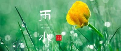 雨水节气清新实景公众号首图 模板ID：7053