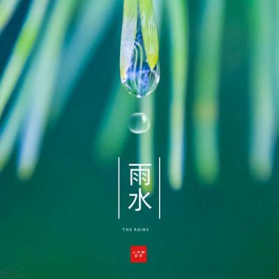 雨水节气实景水滴清新公众号次图 模板ID：7051