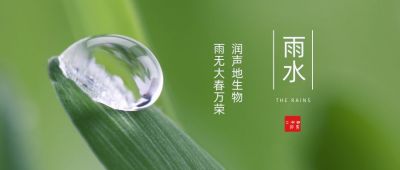 雨水节气实景水滴清新公众号首图 模板ID：7050