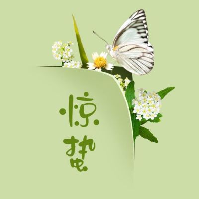 惊蛰节气春天蝴蝶创意实景公众号次图 模板ID：7190
