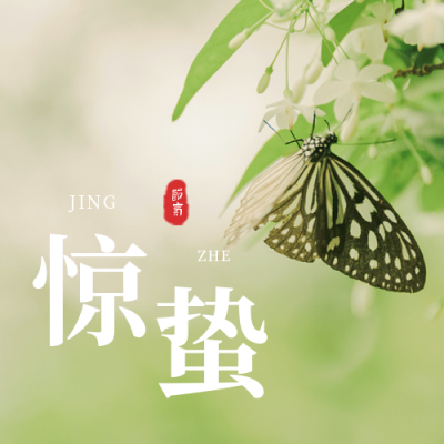 惊蛰节气春天蝴蝶清新公众号次图 模板ID:7404