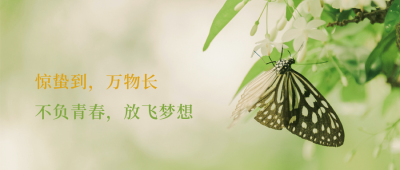 惊蛰节气春天蝴蝶清新公众号首图 模板ID:7403