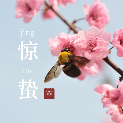 惊蛰节气问候祝福清新实景公众号次图 模板ID:7415