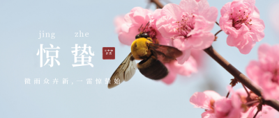 惊蛰节气问候祝福清新实景公众号首图 模板ID：7414