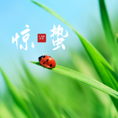 惊蛰节气祝福实景公众号次图 模板ID：7410