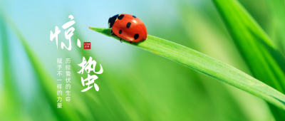 惊蛰节气祝福实景公众号首图 模板ID:7411
