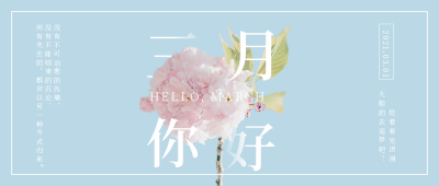 三月问候清新文艺樱花实景公众号首图 模板ID:7388