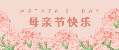 母亲节祝福康乃馨花卉公众号首图 模板ID:9624