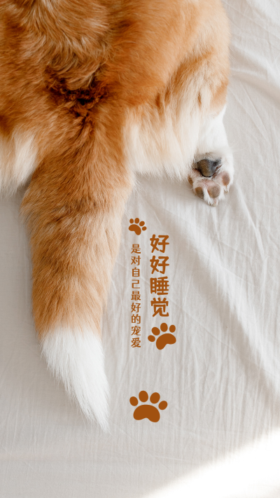 好好睡觉温馨治愈可爱萌宠尾巴手机壁纸 模板ID:9969
